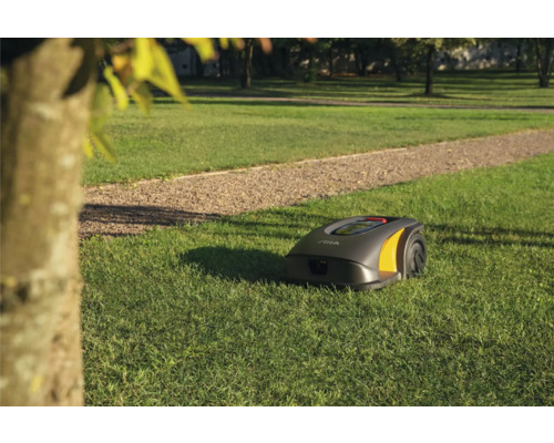 Rasenroboter auf einer Rasenfläche im Garten.