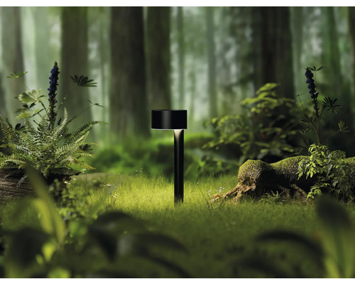 Gartenleuchte im Wald