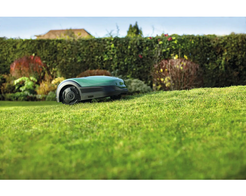 Rasenmähroboter auf Rasenfläche im Garten