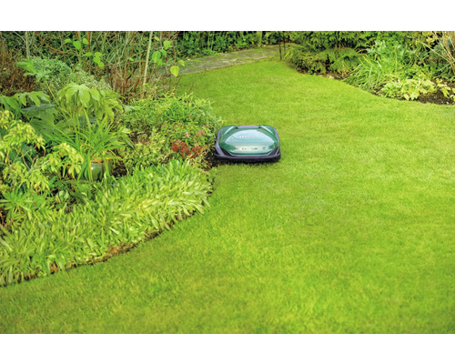 Rasenroboter in einem gepflegten Garten