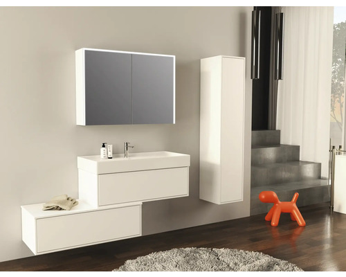 Badezimmer mit Waschtisch, Spiegelschrank, Hochschrank und orangefarbener Hundefigur