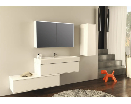 Modernes Badezimmer mit Waschbeckenunterschrank, Spiegelschrank, Hängeschrank und Dekoration
