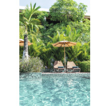 Szene mit Swimmingpool, Liegestühlen und Sonnenschirm im Garten