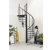 Schwarze Wendeltreppe im Wohnraum mit Dekoration