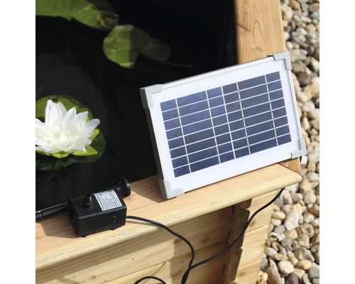 Solar Teichpumpe mit Solarmodul und Teichpflanze im Hintergrund
