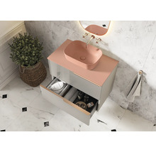 Badezimmer mit Waschbecken, Unterschrank mit Auszug, Spiegel, Handtuch und Pflanze