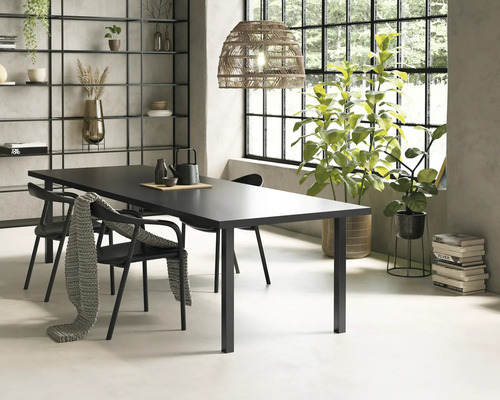 Esszimmer mit Esstisch, Stühlen, Regal und Pflanzen