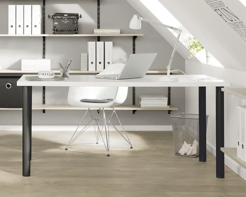 Arbeitszimmer mit Schreibtisch, Stuhl und Regalen