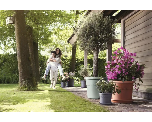 Szene im Garten mit Mann und Frau, die sich huckepack trägt, sowie verschiedenen Blumen in Blumentöpfen