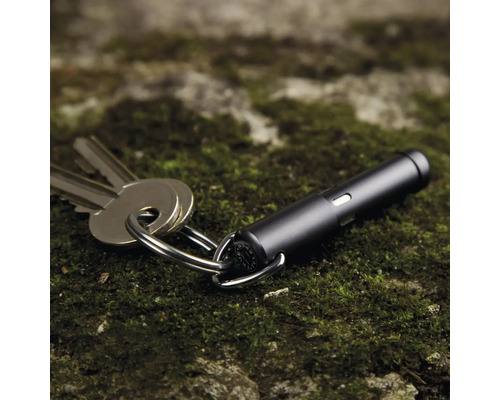 Schwarze Mini-Taschenlampe am Schlüsselring mit Schlüsseln