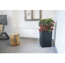 Übertopf mit Pflanzeinsatz Cubico Stone Kunststoff 27 x 27 x 42 cm anthrazit