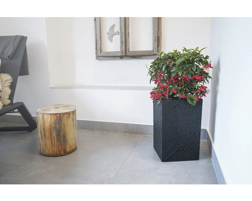 Innenraumszene mit Pflanze in einem schwarzen, quaderförmigen Pflanzgefäß neben einem Hocker aus einem Baumstamm.