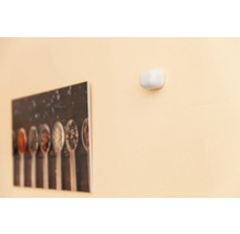 Wand mit Rauchmelder und Bild