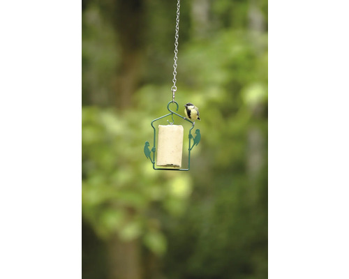 Hängende Futterstelle mit Meisenknödel und Vogel