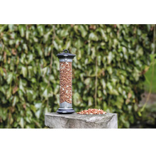 Vogelfutterspender mit Erdnüssen auf einem Steinsockel