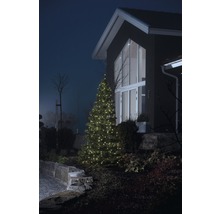 Beleuchteter Weihnachtsbaum vor einem Haus im Garten