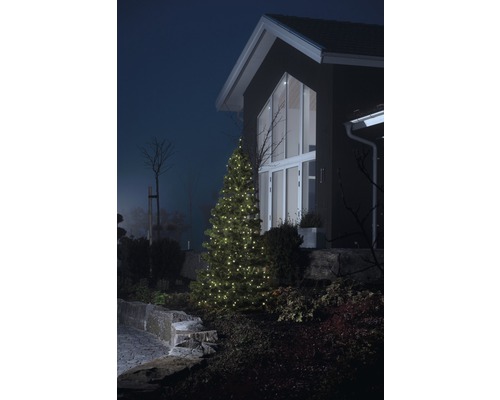 Beleuchteter Weihnachtsbaum vor einem Haus im Garten