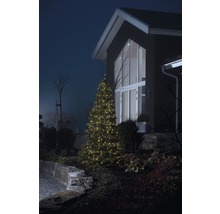 Beleuchteter Weihnachtsbaum im Garten vor dem Haus