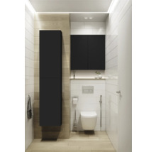 Modernes Badezimmer mit Toilette, Waschbeckenunterschrank und Hochschrank