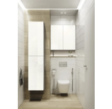Modernes Badezimmer mit Toilette, Waschbeckenunterschrank und Hochschrank