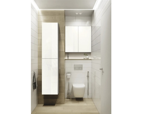 Modernes Badezimmer mit Toilette, Waschbeckenunterschrank und Hochschrank