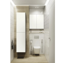 Modernes Badezimmer mit Toilette, Waschtisch und Stauraum
