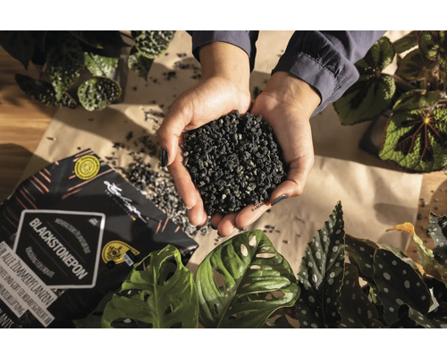 Blackstonepon Pflanzgranulat in den Händen über einer Packung und Zimmerpflanzen