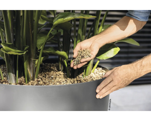 Person füllt Blähton in einen Pflanzkübel mit Pflanze