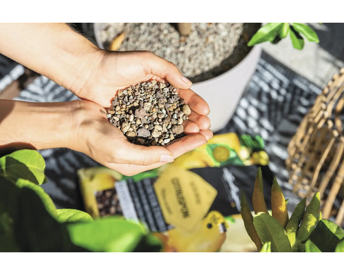 Hände halten Blähton als Drainagematerial für Pflanzen