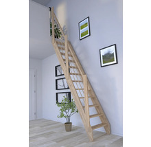 Holztreppe im Raum mit Bildern an der Wand und einer Zimmerpflanze.