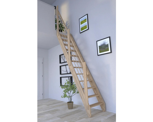 Holztreppe im Raum mit Bildern an der Wand und einer Zimmerpflanze.