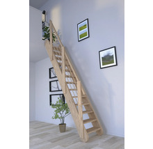 Holztreppe im Raum mit Bildern an der Wand und Pflanzen