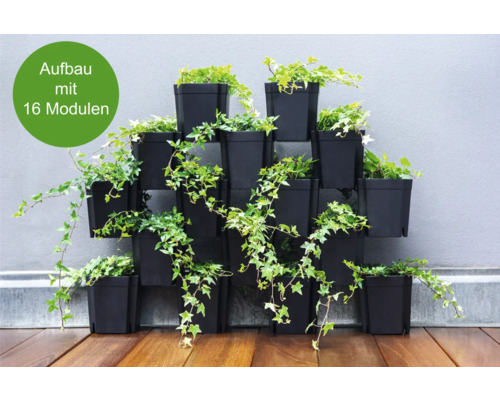 Wandbegrünungssystem mit 16 Modulen und Bepflanzung vor einer Wand