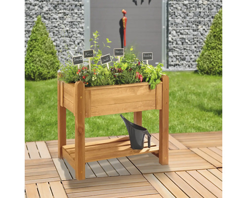 Hochbeet aus Holz mit Kräutern und Gemüse auf Terrasse