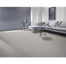 Heller Wohnraum mit Teppichboden, Sofa, Jalousien und Dekoration