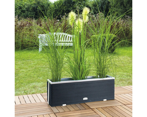 Rechteckiger Pflanzkasten aus Kunststoffgeflecht mit Gräsern im Garten