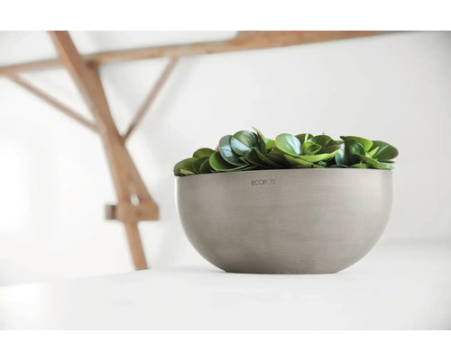 Pflanzgefäß aus Kunststoff mit grünen Pflanzen