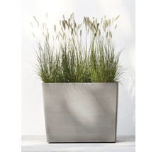 Rechteckiger Pflanzkübel mit Ziergras