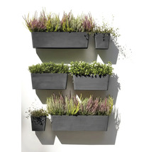 Wand mit bepflanzten Blumenkästen und Töpfen, die verschiedene Pflanzen enthalten