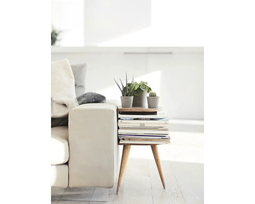 Dekorative Zimmerpflanzen in Töpfen auf einem Beistelltisch aus Zeitschriften neben einem Sofa.