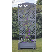 Blumenkasten mit Rankgitter Romantica promadino Holz 80 x 38 x 210 cm grau