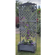 Blumenkasten mit Rankgitter Romantica promadino Holz 80 x 38 x 210 cm grau