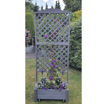 Blumenkasten mit Rankgitter im Garten