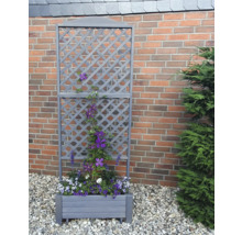 Blumenkasten mit Rankgitter vor einer Mauer mit Bepflanzung