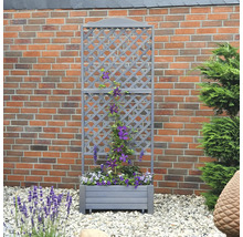 Blumenkasten mit Rankgitter Romantica promadino Holz 80 x 38 x 210 cm grau