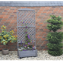 Blumenkasten mit Rankgitter Romantica promadino Holz 80 x 38 x 210 cm grau