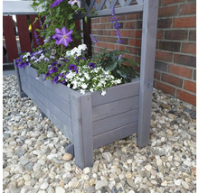 Blumenkasten mit Rankgitter Romantica promadino Holz 80 x 38 x 210 cm grau