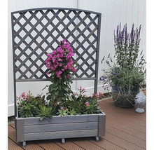 Blumenkasten mit Rankgitter Flora promadino Holz 91 x 41 x 130 cm grau