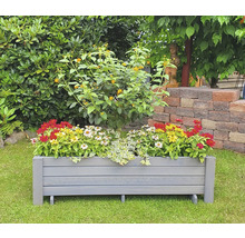 Blumenkasten Pflanzkasten Romantica promadino Holz 78 x 38 x 34 cm grau