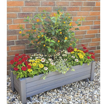 Blumenkasten Pflanzkasten Romantica promadino Holz 78 x 38 x 34 cm grau